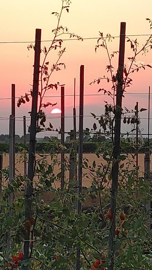 B&B Al Vecio Morer San Donà di Piave Kültér fotó